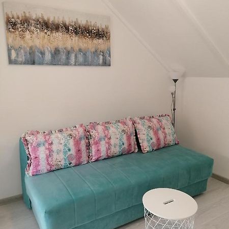 Apartman Andrijana 1 Sokobanja Buitenkant foto